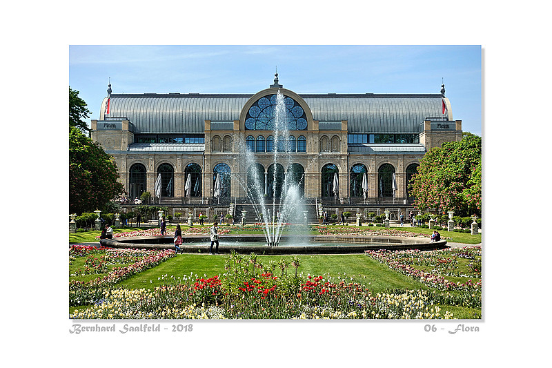 Bernhard Saalfeld - 06 - Flora_800